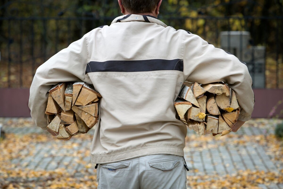     / Источник: © Nikolay Gyngazov/Global Look Press