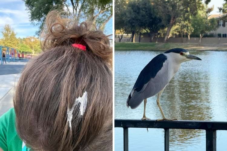 Источник: iosonostella13/reddit