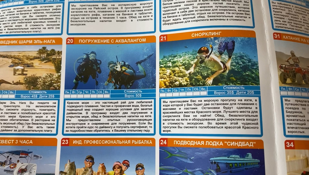 Стоимость экскурсии дайвинг в Египте 