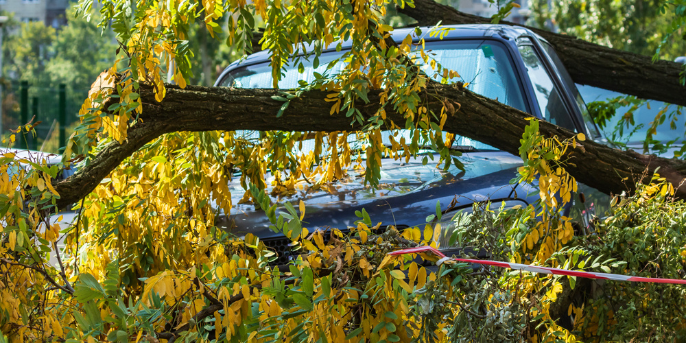 Фото с сайта www.istockphoto.com 