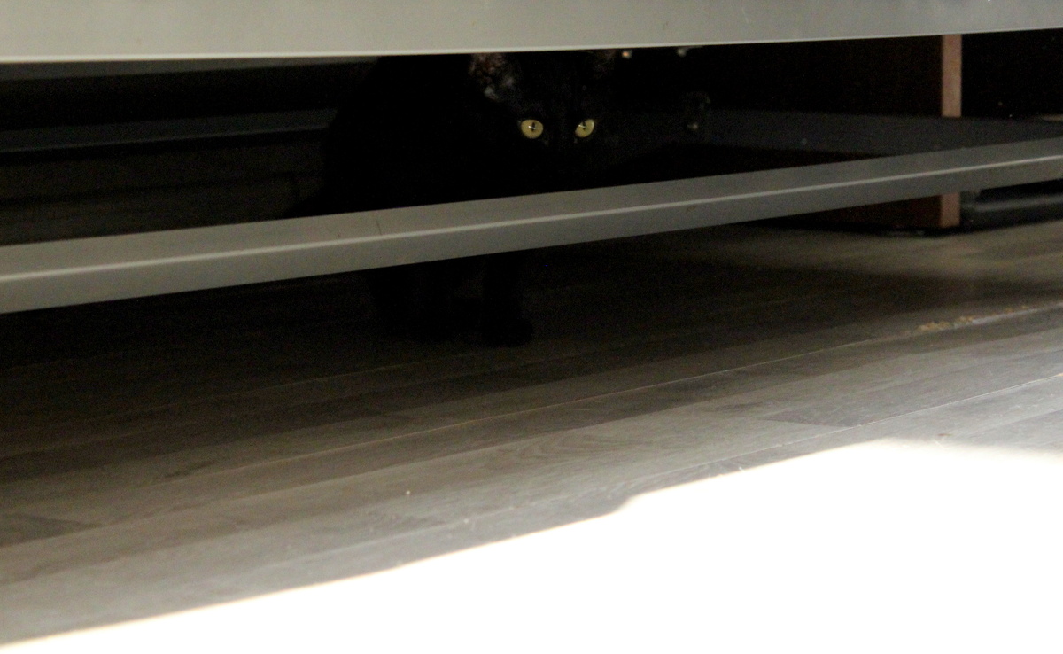 Эх. Сколько таких у нас в новых домах в самом начале сидело;)