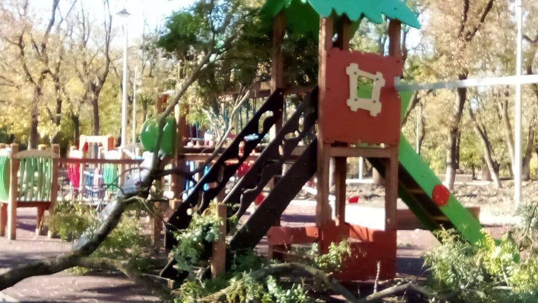    Фото: пресс-служба прокуратуры Краснодарского края