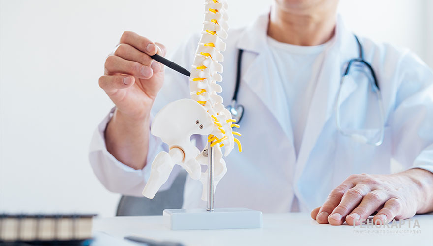 Okrasiuk // shutterstock.com