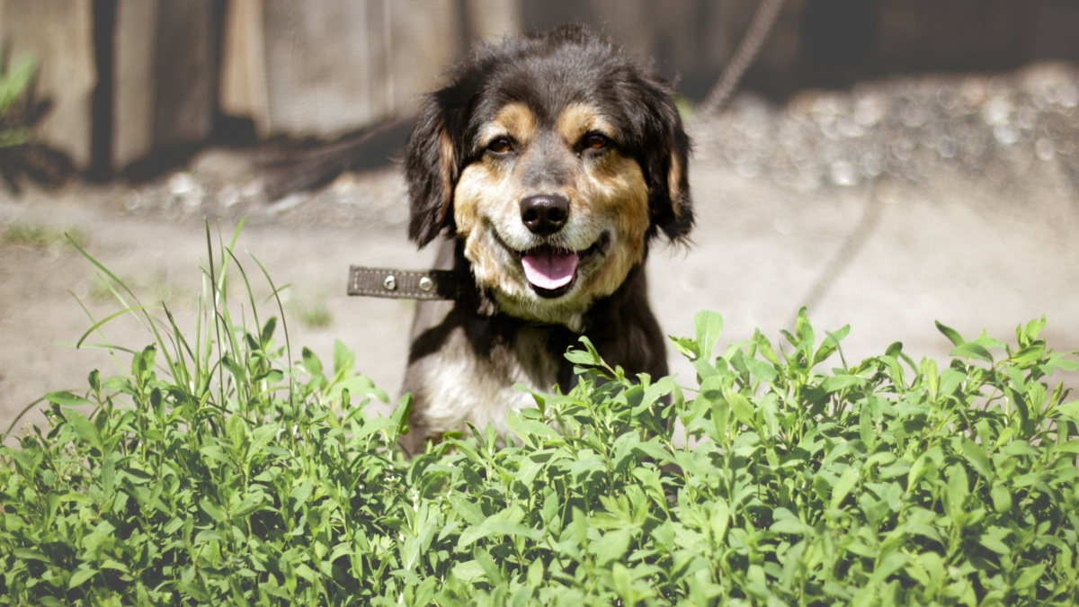 ООО «СДК»📷
