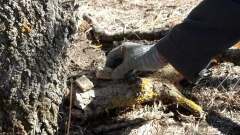      Фото: минприроды СК