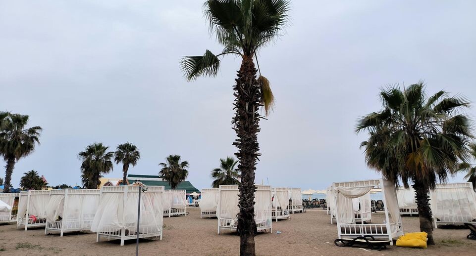    Maksim Konstantinov/Global Look Press / www.globallookpress.com