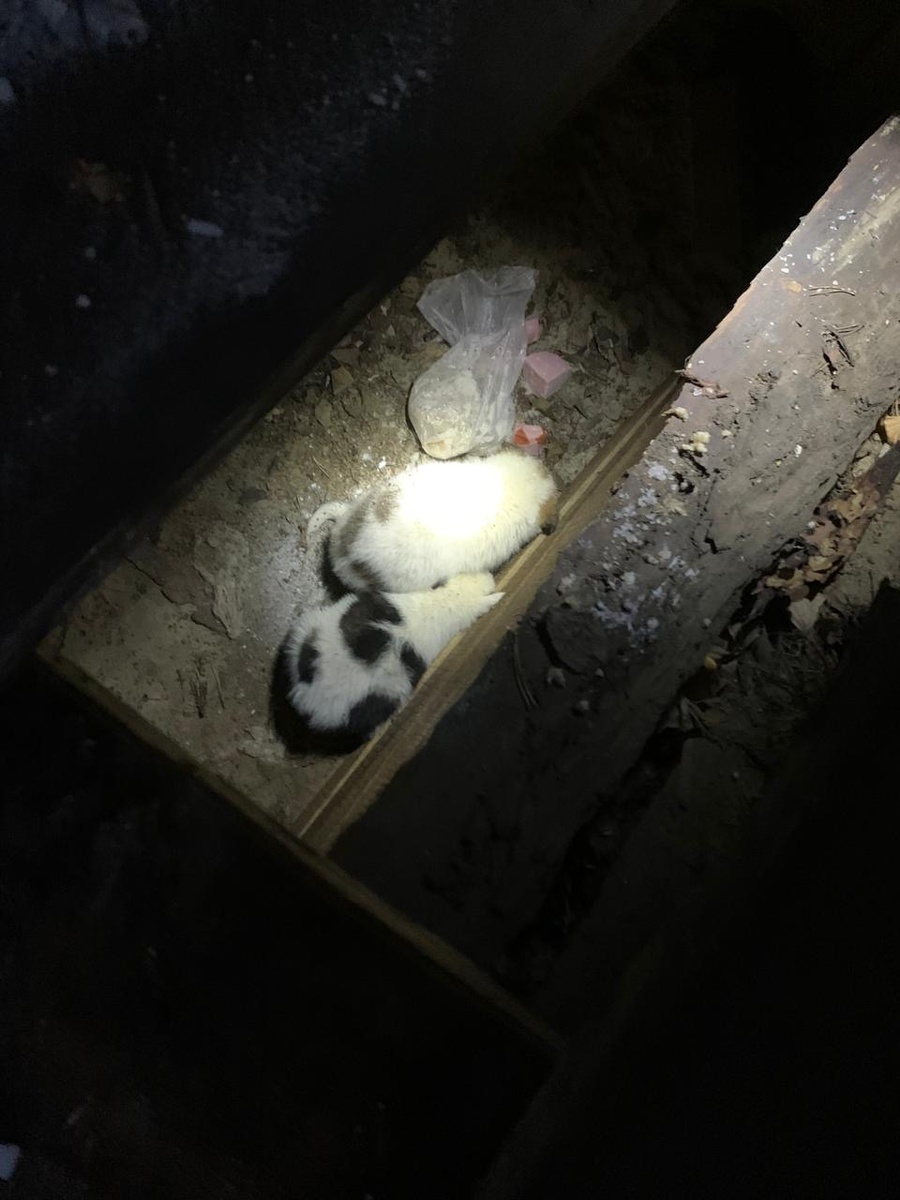 Упавшие малыши