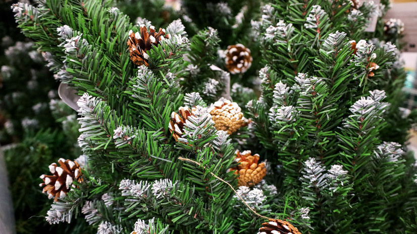   globallookpress.com Elena Mayorova