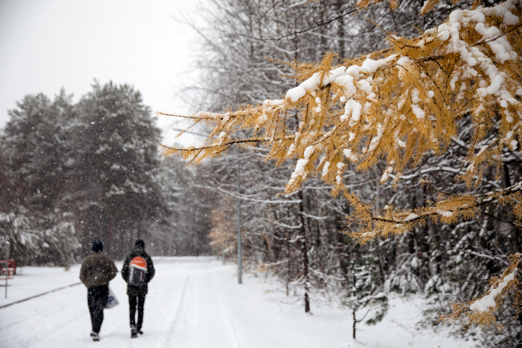    Первые морозы ущипнут югорчан уже 6 ноября