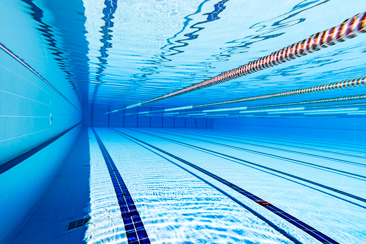    Фото: Andrey Armyagov / Shutterstock.com