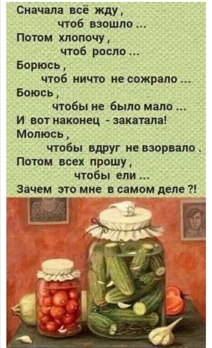 Картинка как нельзя точно выражает моё настроение. 