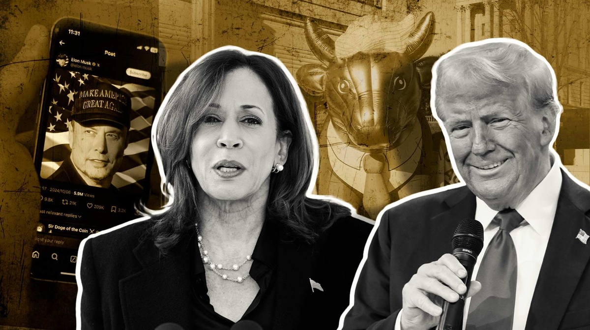    Коллаж: Daily Storm