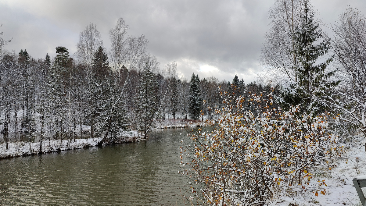 Река Воря, Подмосковье 