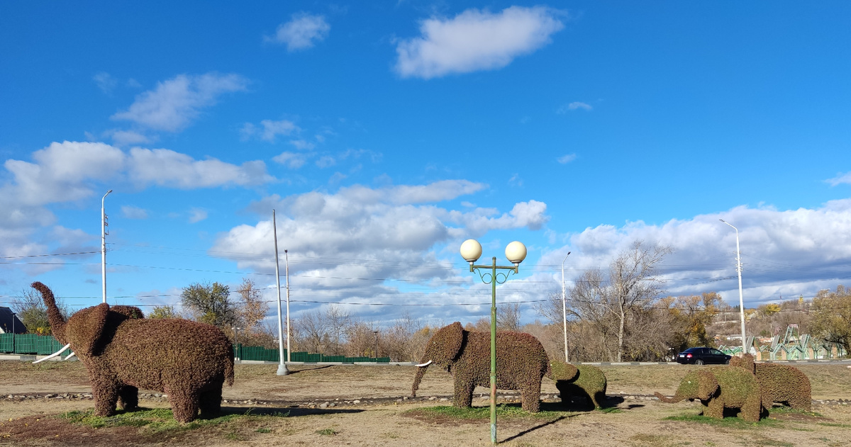 Теперь у нас пять слонов