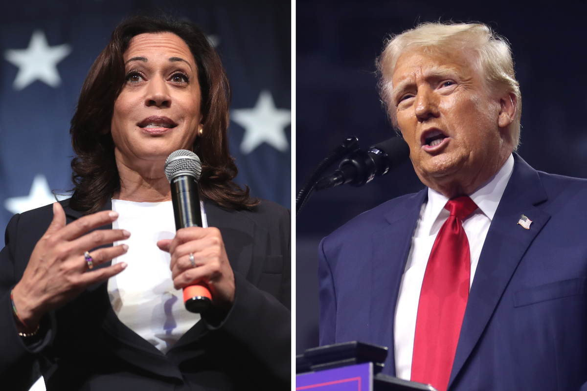 Фото © flickr.com / Gage Skidmore