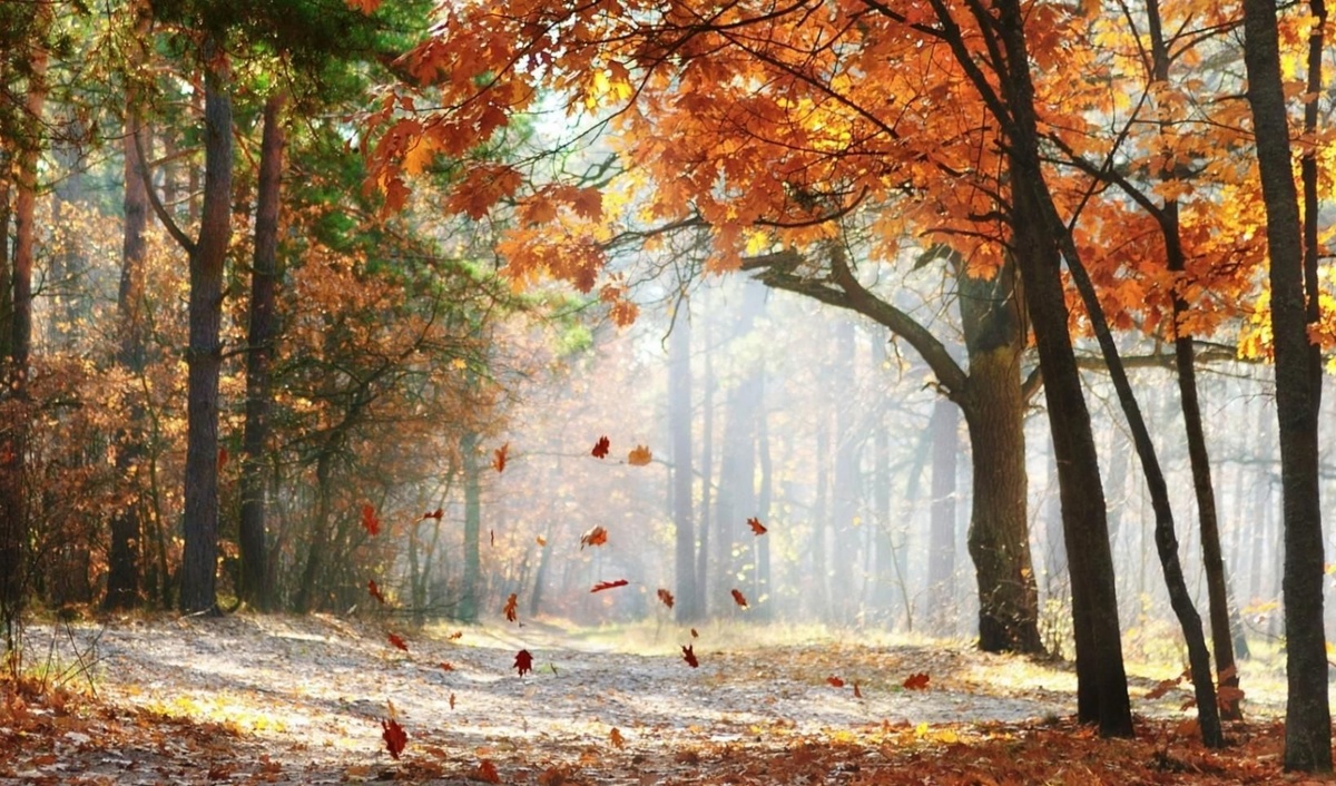 Открытый источник