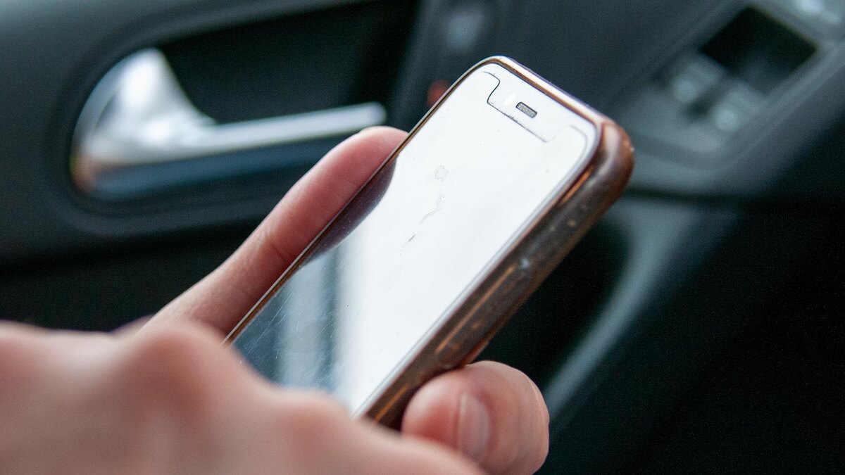 Фото: Svetlana Vozmilova/globallookpress.com