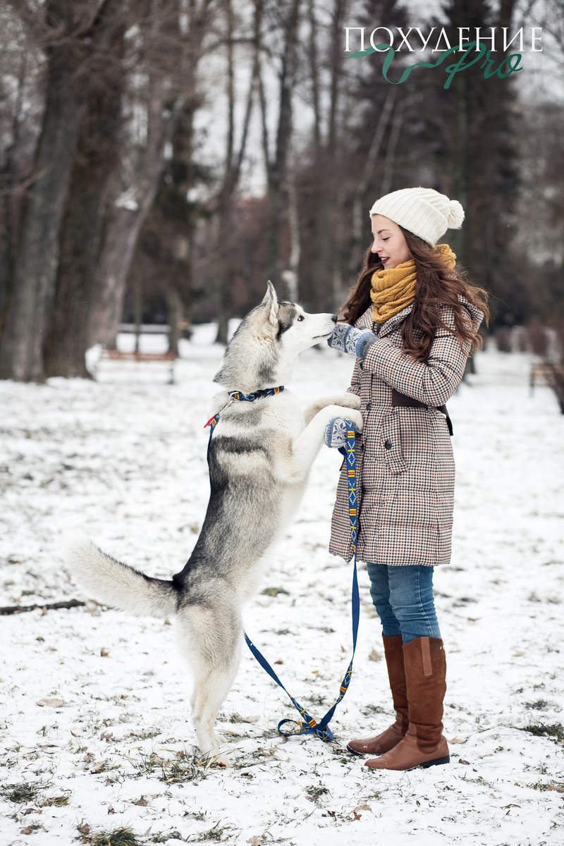 Гулять с собакой придется несмотря ни на что