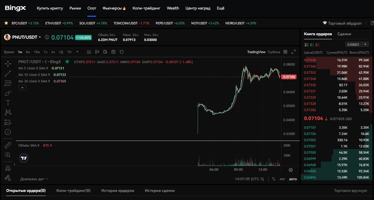 PEANUT THE SQUIRREL: КАК И ГДЕ БЕЗОПАСНО КУПИТЬ КРИПТОВАЛЮТУ PNUT COIN ЗА РУБЛИ ИЛИ USDT? ЛИСТИНГ $PNUT ТОКЕНА