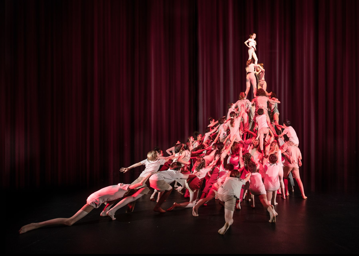 Цирк The Flying Fruit Fly Circus