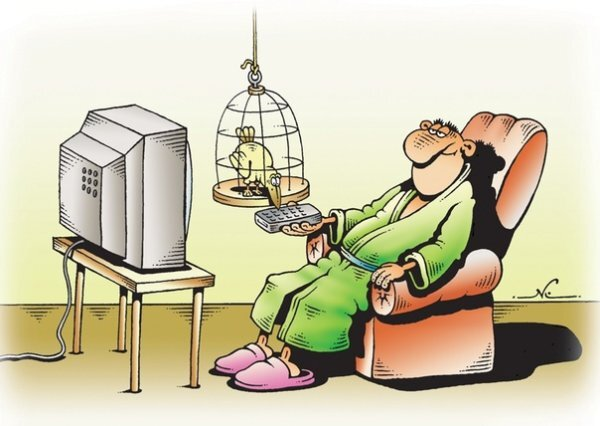 Источник Яндекс картинки