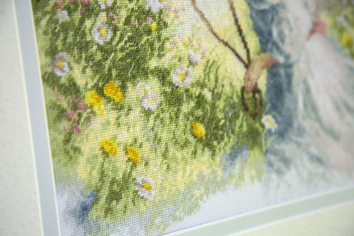 Фото из открытых источников интернет