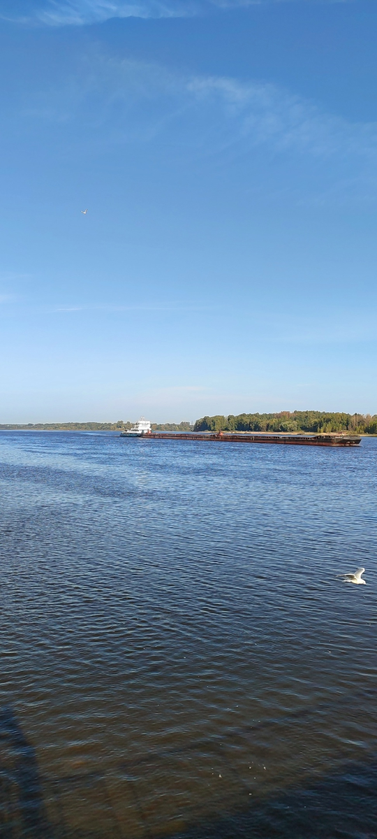 Фото автора. 