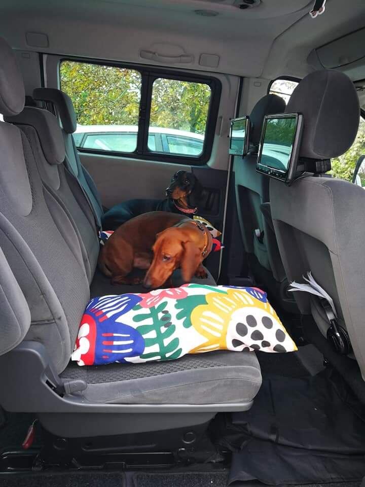 Второе сиденье-таксячье