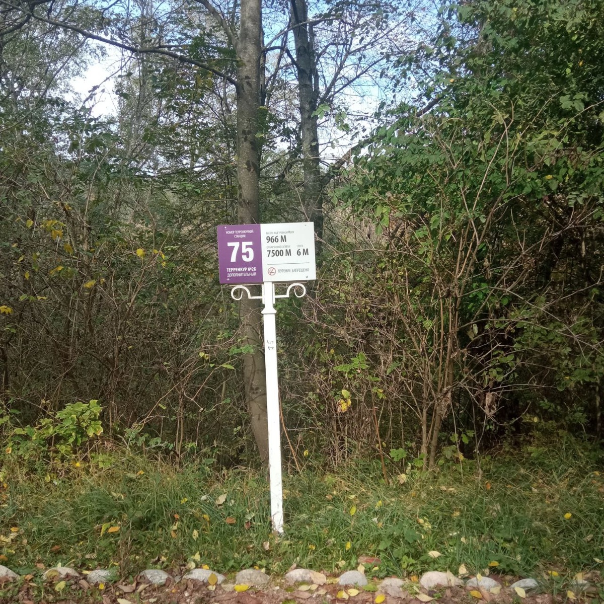 Как я сюда попала - сама не поняла. Решила сделать фотографию. Вокруг - ни души!