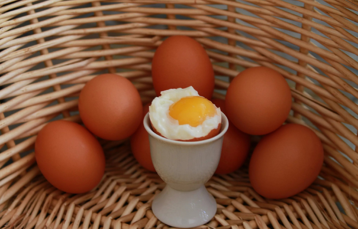 фото источник kaliningradtv.ru