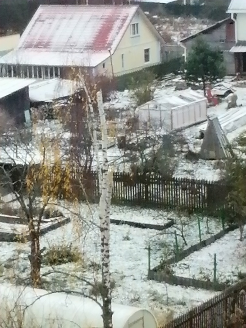 Процесс уничтожения дерева. 