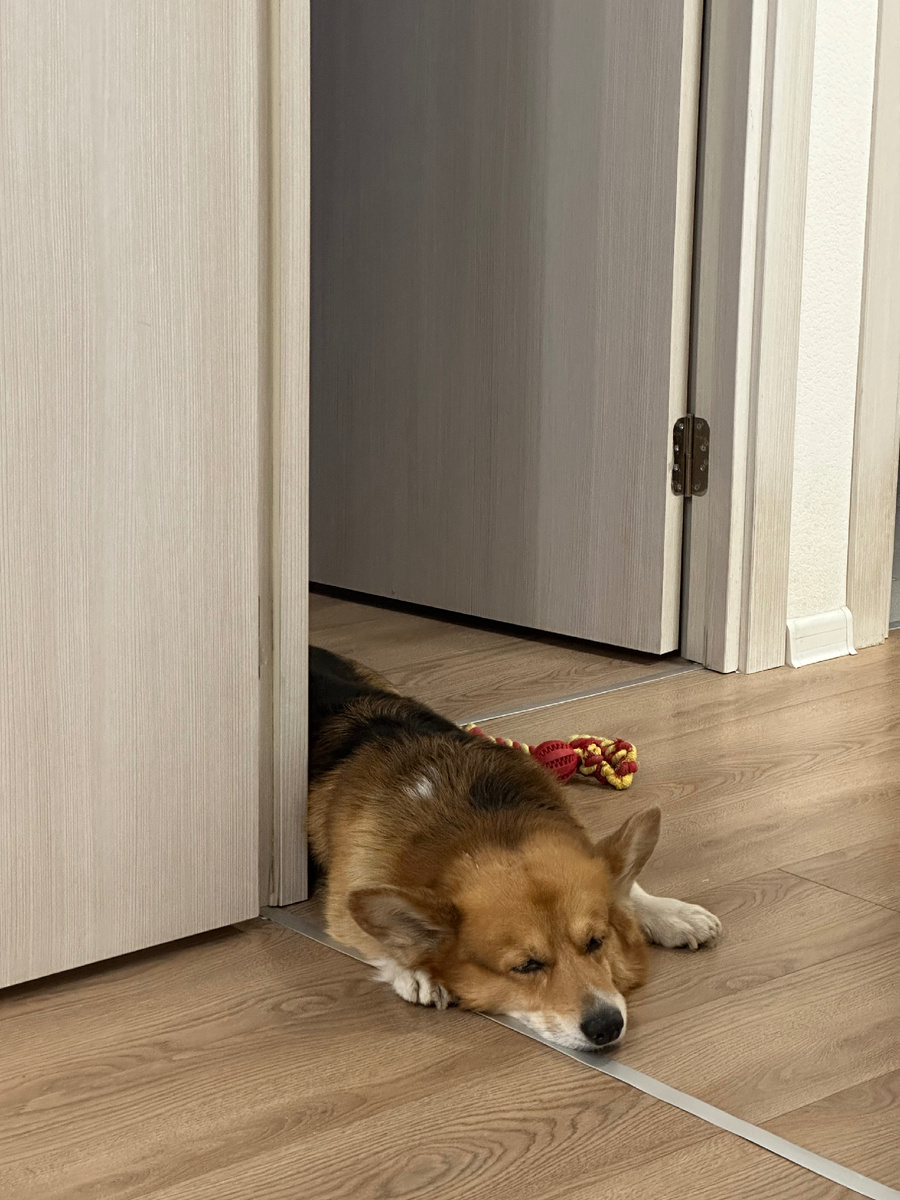 Мать готовит, убирает. А мужички спят 😂