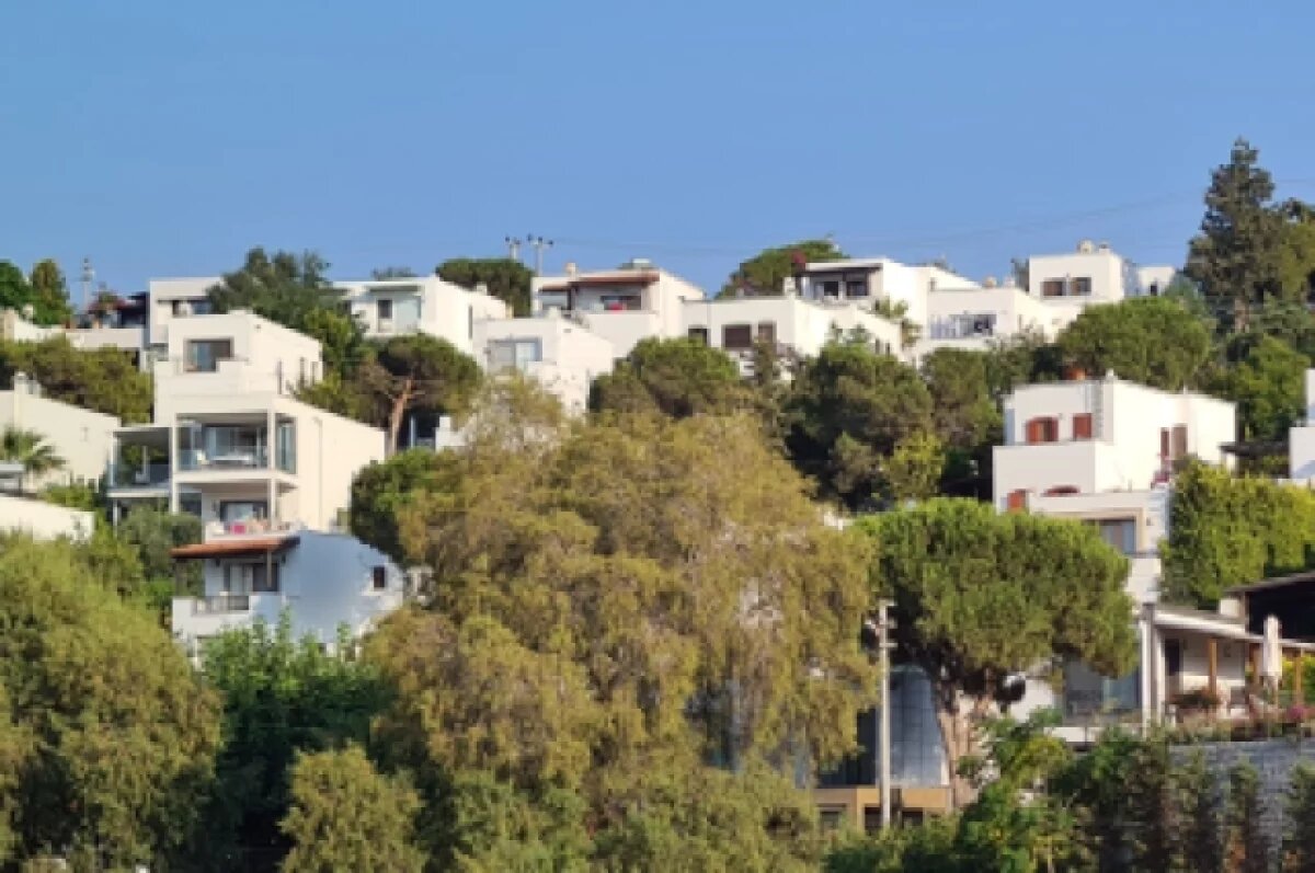    Минздрав Турции опроверг сообщения о массовом заболевании вирусом Коксаки