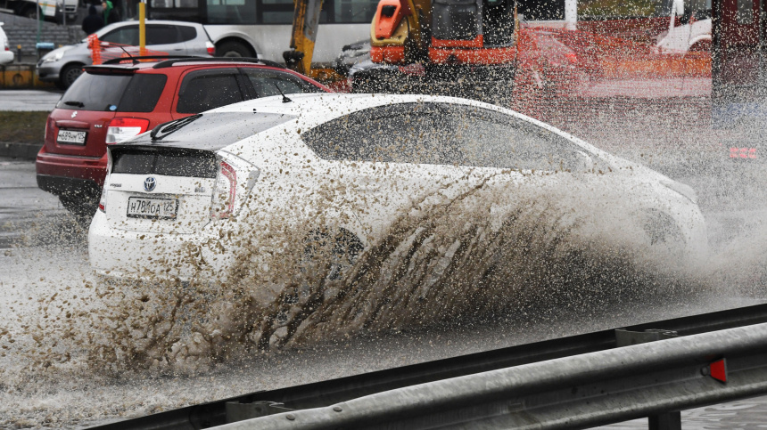    Фото: © РИА Новости/Виталий Аньков; 5-tv.ru