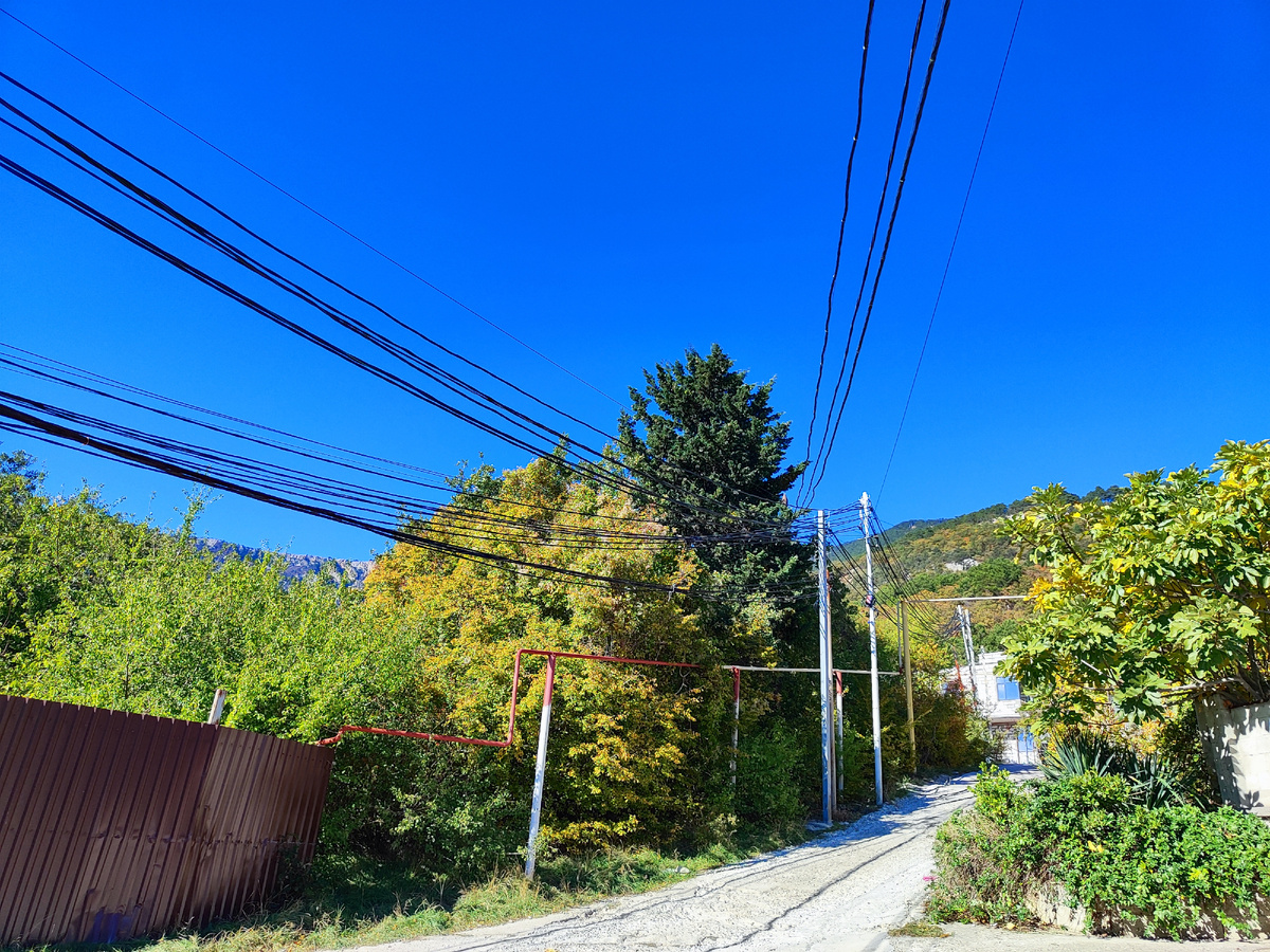 В таком живописном месте покупали первую пальму 