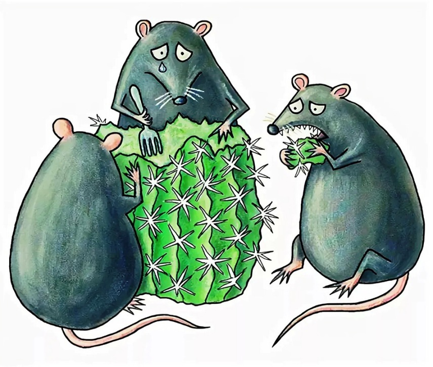 Мыши плакали, кололись, но продолжали есть кактус