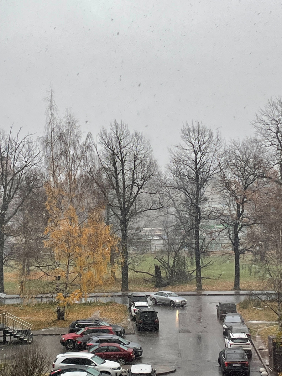 мокрый снег