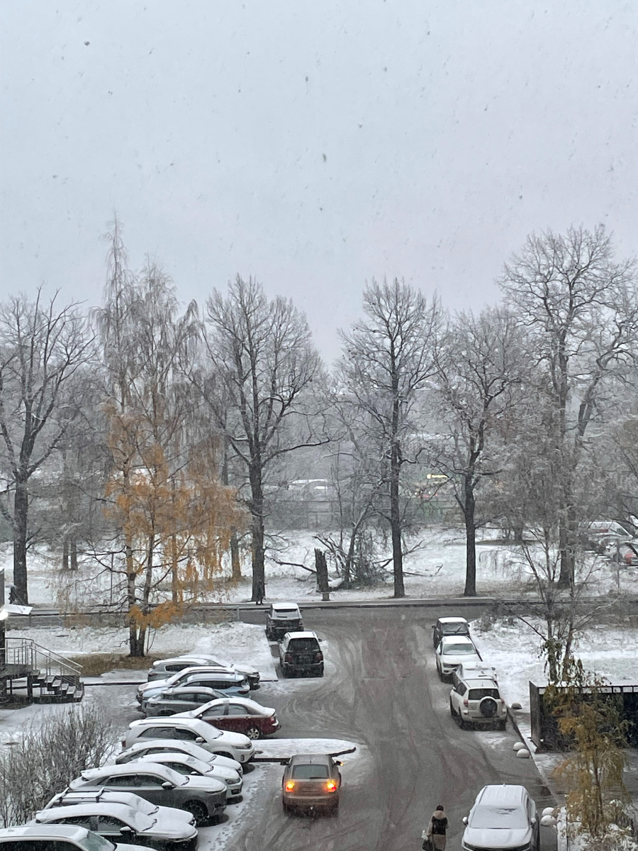 МОКРЫЙ СНЕГ