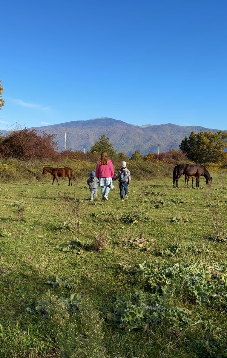 А мы ведь просто вышли за ворота