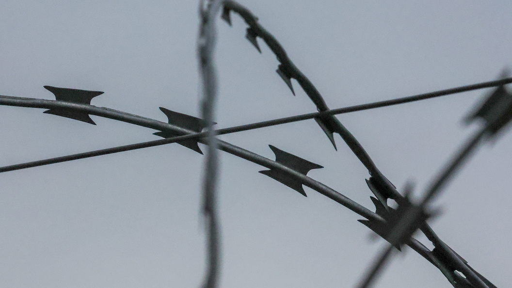    Фото: Belkin Alexey/news.ru/Globallookpress