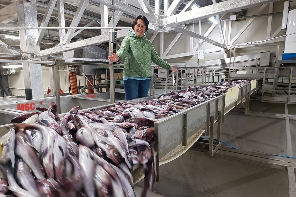    Минтая много не бывает. Наталья ВАРСЕГОВА