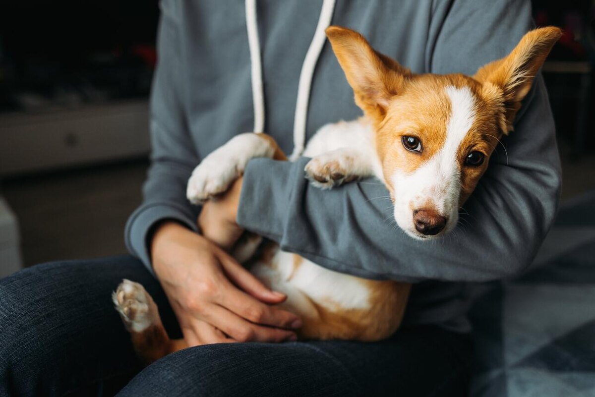     123RF/legion-media.ru