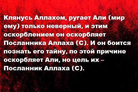 Отношение Ахль аль-Бейт к правлению Абдуллаха ибн Зубайра (продолжение)