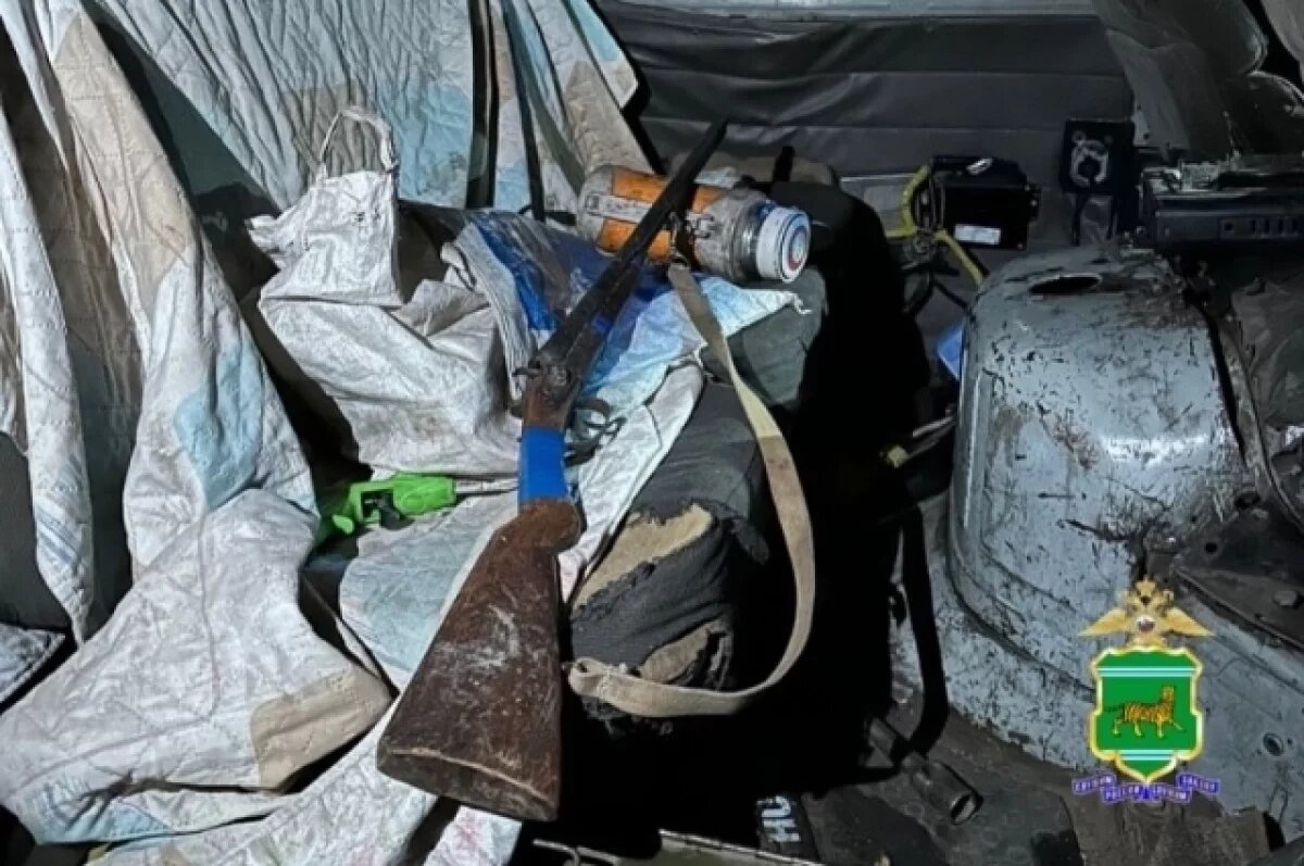    Водитель с оружием «из кустов» задержан в ЕАО