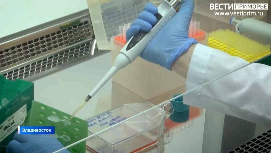    Источник фото: "Вести: Приморье", Vl.ru