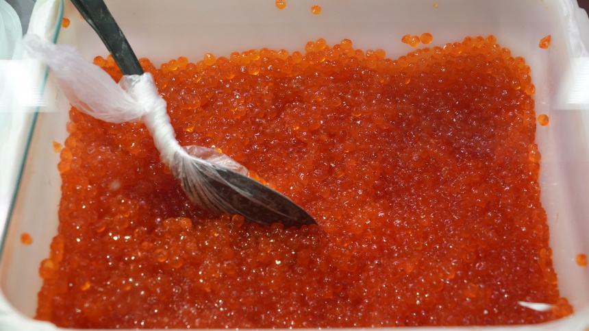    Фото: ИЗВЕСТИЯ/Павел Волков; 5-tv.ru