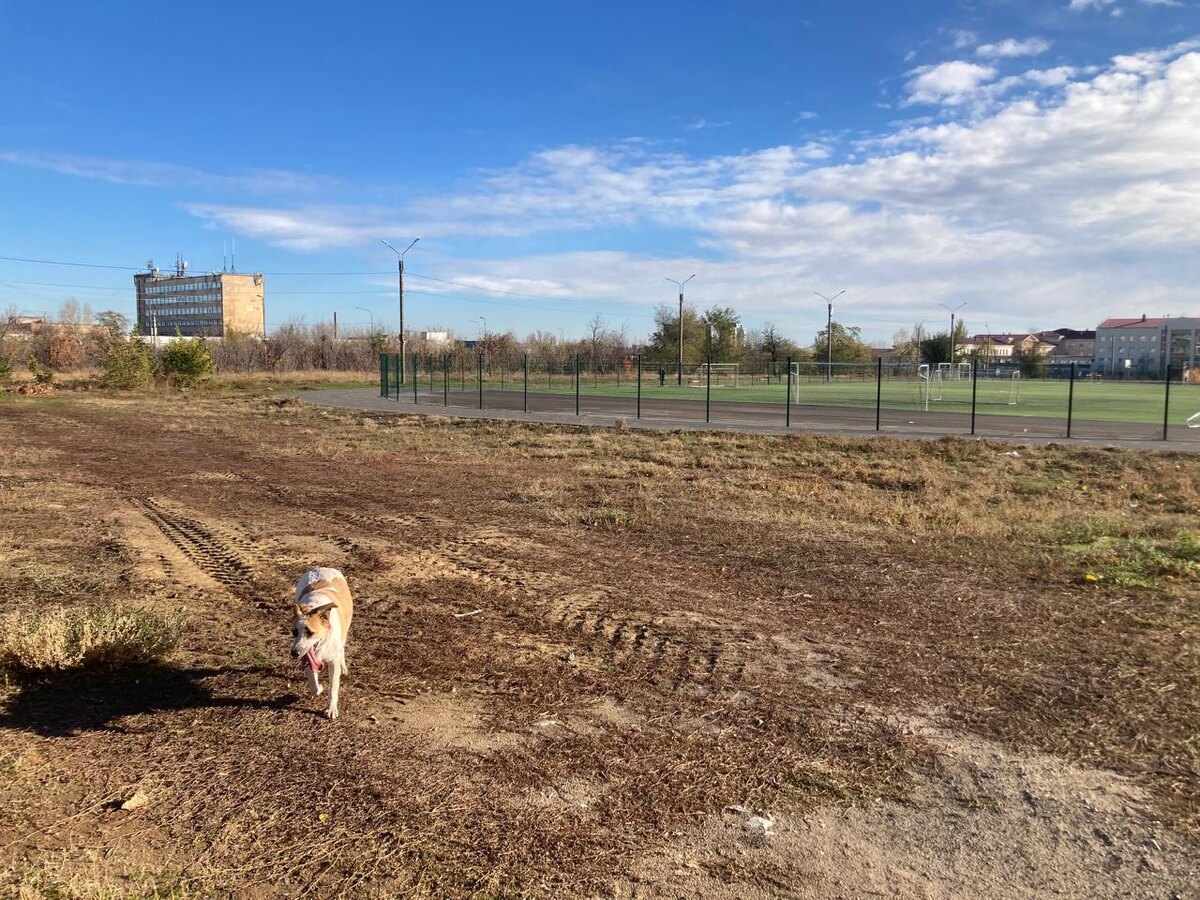 Вот, справа стадион и дорожки, а слева, куда Антоха мчится, дикий пустырь.