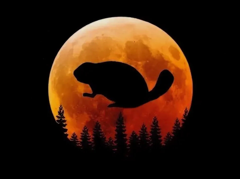 Скриншот из видео