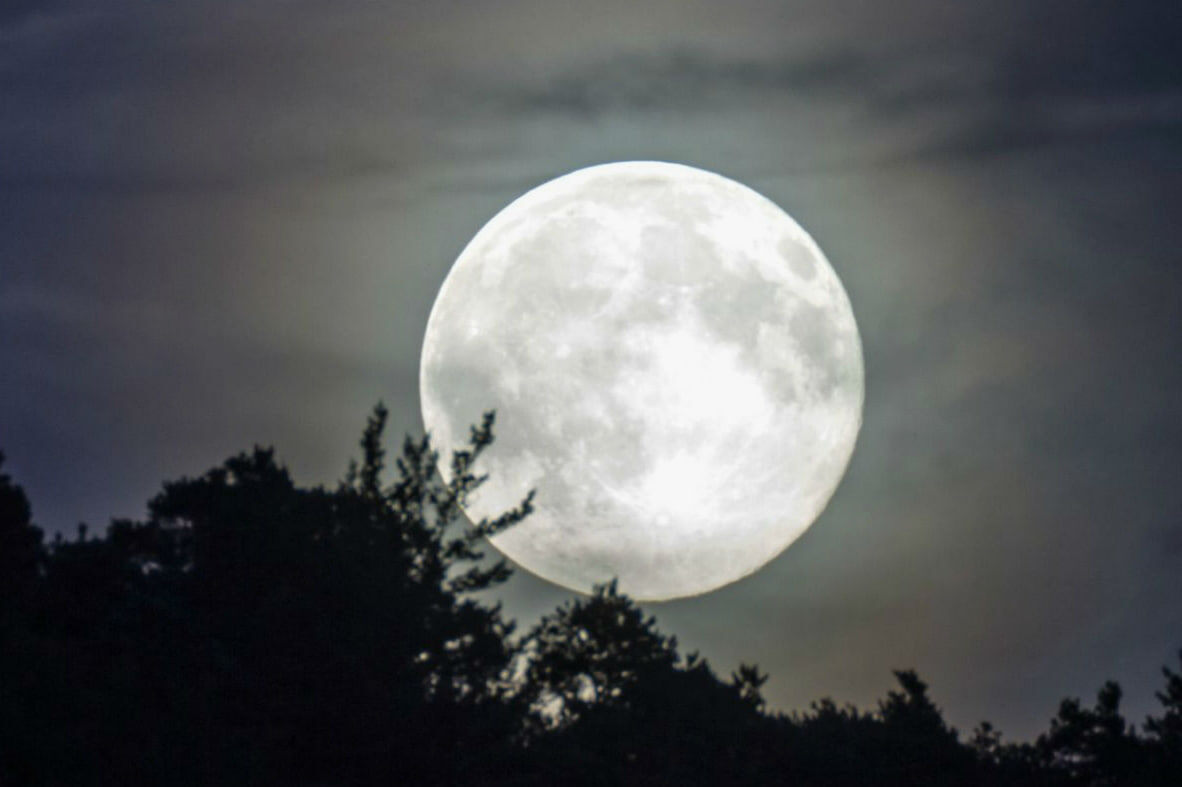 Скриншот из видео