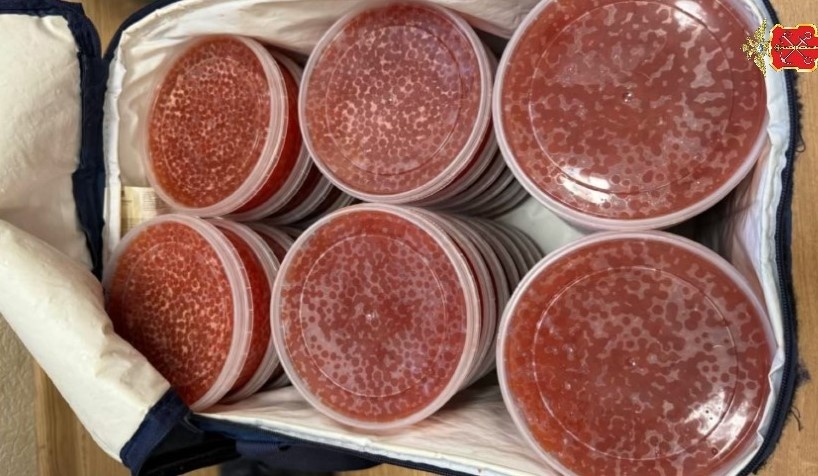 Такие коллагеновые шарики под видом красной икры купила пенсионерка из Санкт-Петербурга.